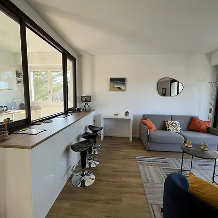 Appartement Superbe T2 Avec Balcon Et Parking, Idealement Situe A - Fr-1-374-200 Arcachon