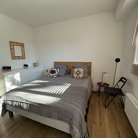 Apartment Superbe T2 Avec Balcon Et Parking, Idealement Situe A - Fr-1-374-200 Arcachon