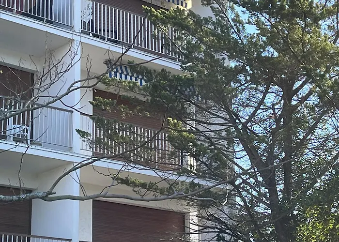 Superbe T2 Avec Balcon Et Parking, Idealement Situe A - Fr-1-374-200 Apartment